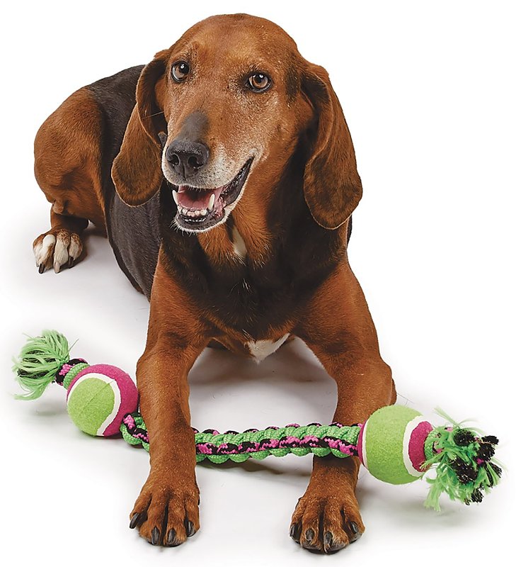 Pet Park Blvd US2056 43 Rope Toy, Double Ball Paracord, Woven, Green