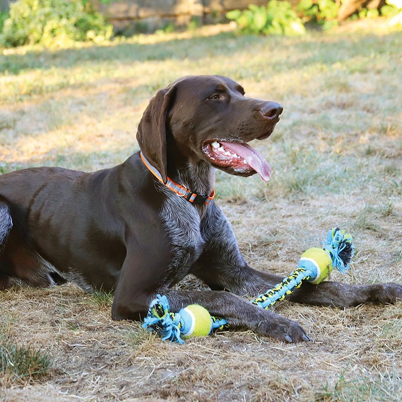 Pet Park Blvd US2056 99 Dog Toy, Chew, Fetch, Tug Toy, Paracord Rope Double Tennis Tug, Yellow