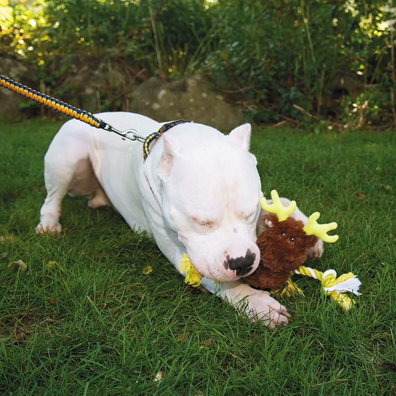 Boss Pet Pet Park Blvd US2261 16 Dog Toy, Chew, Fetch Toy, Tugger Moose, Plush/Rope