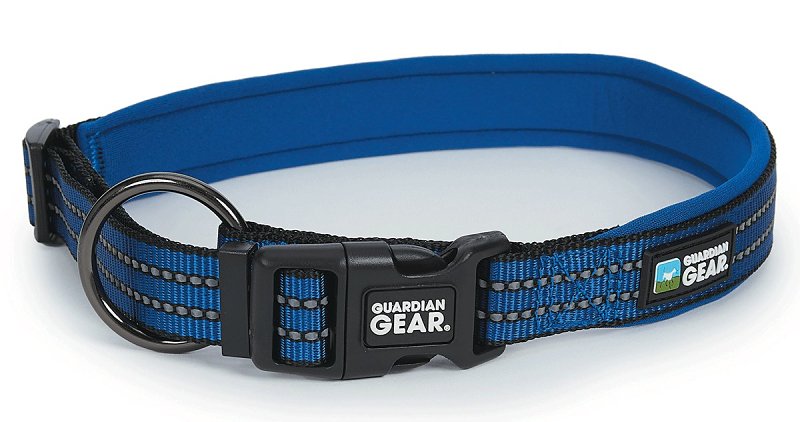 Guardian Gear ZA0006 12 19 Dog Collar, O-Ring Link, 12 to 19 in L Collar, Nylon, Royal Blue