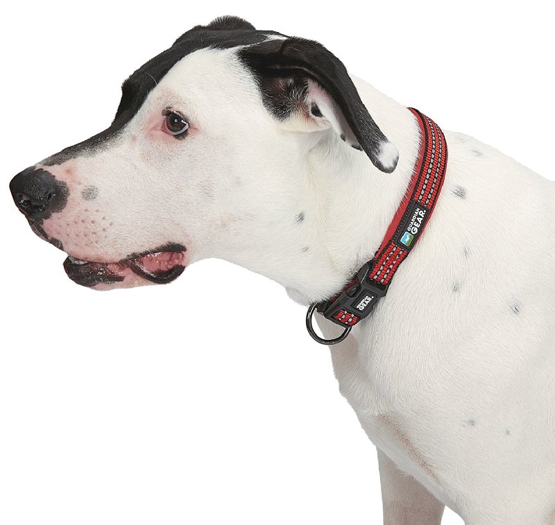 Guardian Gear ZA0006 12 83 Dog Collar, O-Ring Link, 12 to 83 in L Collar, Nylon, True Red
