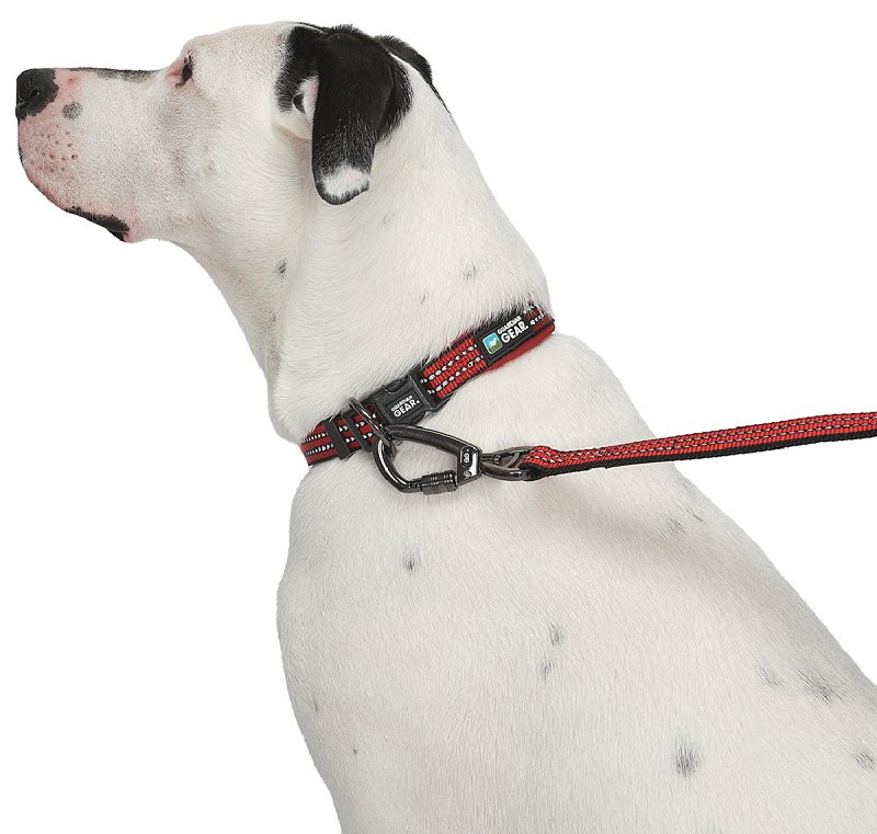 Guardian Gear ZA0006 12 83 Dog Collar, O-Ring Link, 12 to 83 in L Collar, Nylon, True Red