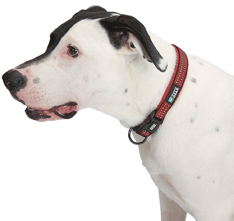 Amazon.com : Bixie Breathable Anti-Slip Dog Shoes 2.0 - with