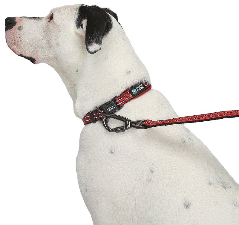 Guardian Gear ZA0006 16 83 Dog Collar, O-Ring Link, 16 to 83