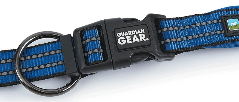Guardian Gear ZA0006 20 19 Dog Collar, O-Ring Link, 20 to 19 in L Collar, Nylon, Royal Blue