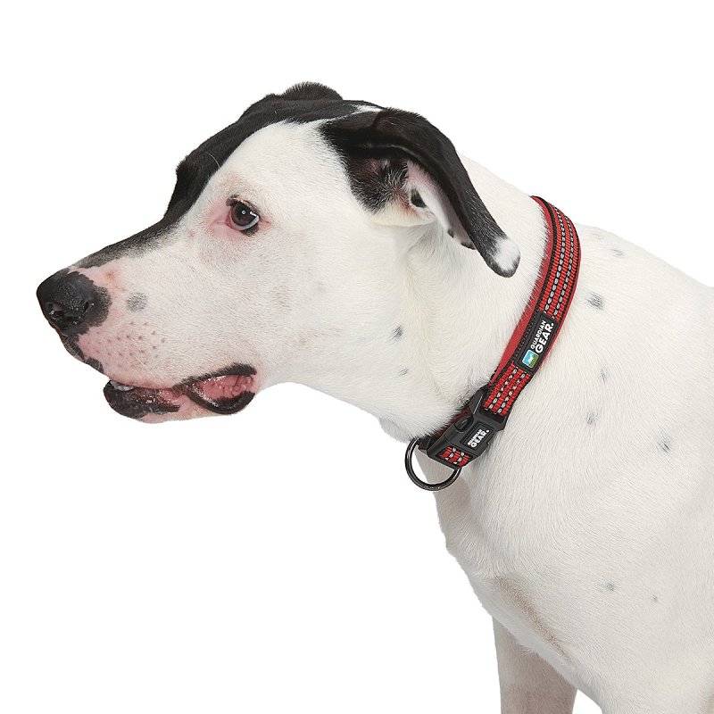 Guardian Gear ZA0006 24 83 Dog Collar, O-Ring Link, 24 to 83 in L Collar, Nylon, True Red