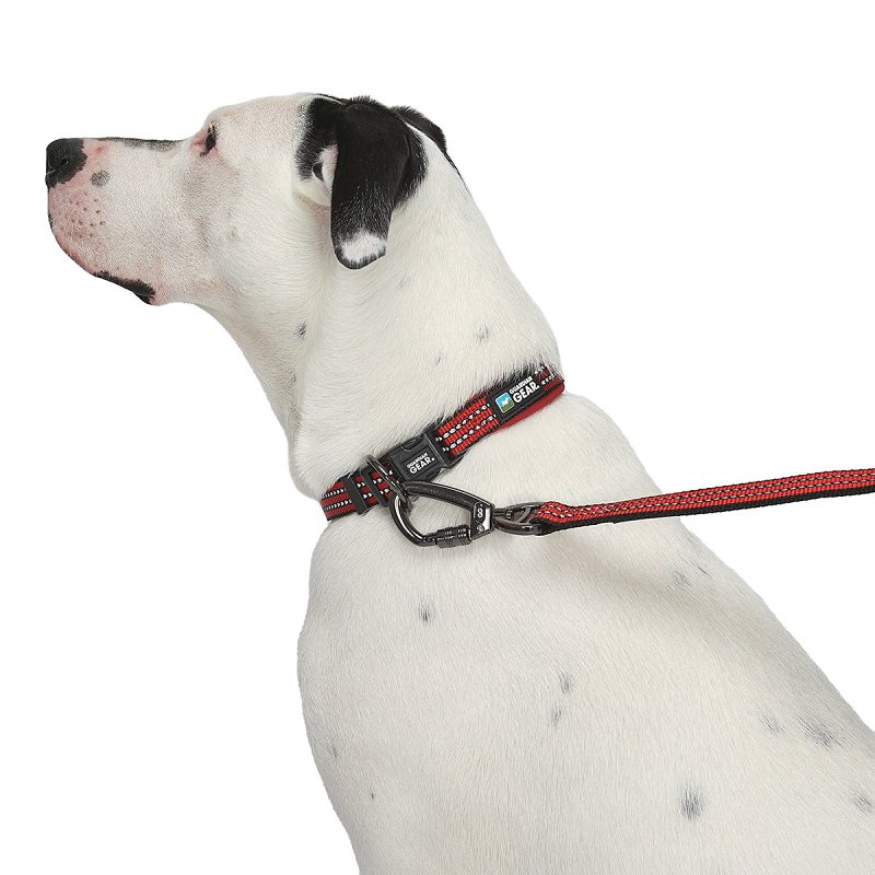 Guardian Gear ZA0006 24 83 Dog Collar, O-Ring Link, 24 to 83 in L Collar, Nylon, True Red