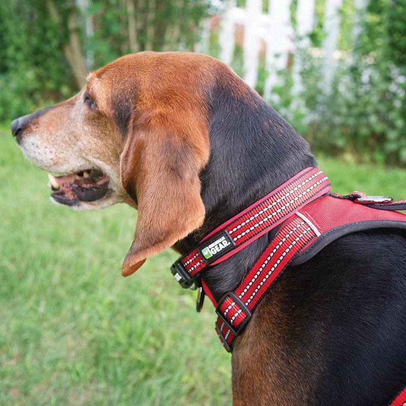 Guardian Gear ZA0006 24 83 Dog Collar, O-Ring Link, 24 to 83 in L Collar, Nylon, True Red
