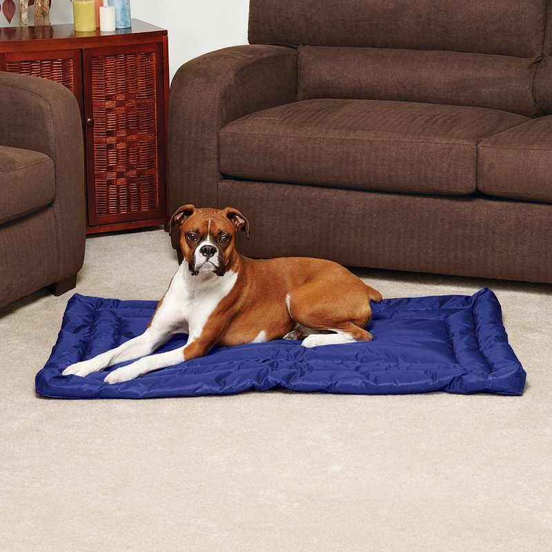 Slumber Pet ZA210 42 19 Dog Bed, 42 in L, 19 in W, Nylon Cover, Royal Blue
