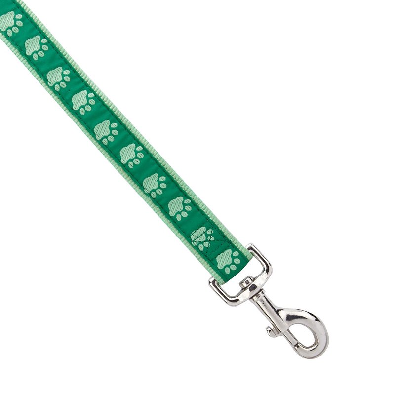 Casual Canine ZA8861 44 43 Two-Tone Pawprint Dog Lead, 4 ft L, 5/8 in W, Nylon Line, Green