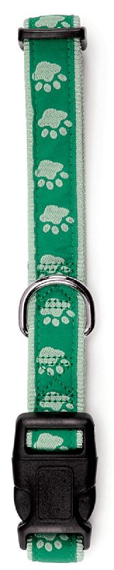 Casual Canine ZA8871 06 43 Dog Collar, 6 to 10 in L Collar, 3/8 in W Collar, Nylon, Green