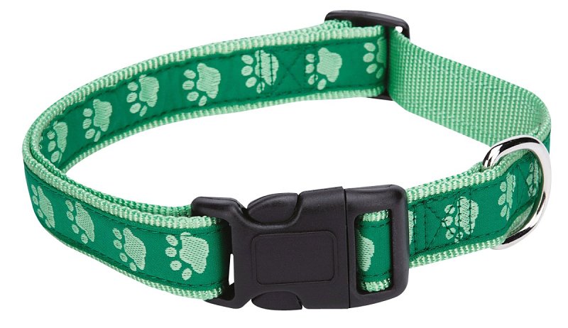 Casual Canine ZA8871 06 43 Dog Collar, 6 to 10 in L Collar, 3/8 in W Collar, Nylon, Green