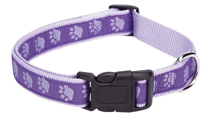 Casual Canine ZA8871 06 79 Dog Collar, 6 to 10 in L Collar, 3/8 in W Collar, Nylon, Purple