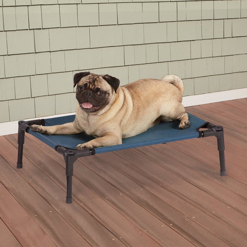 Guardian Gear ZW9023 12 19 Pet Cot, 24 in L, 18 in W, Polyester Cover, Blue
