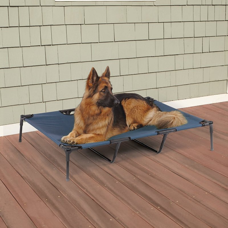 Guardian Gear ZW9023 24 19 Pet Cot, 48 in L, 36 in W, Polyester Cover, Blue