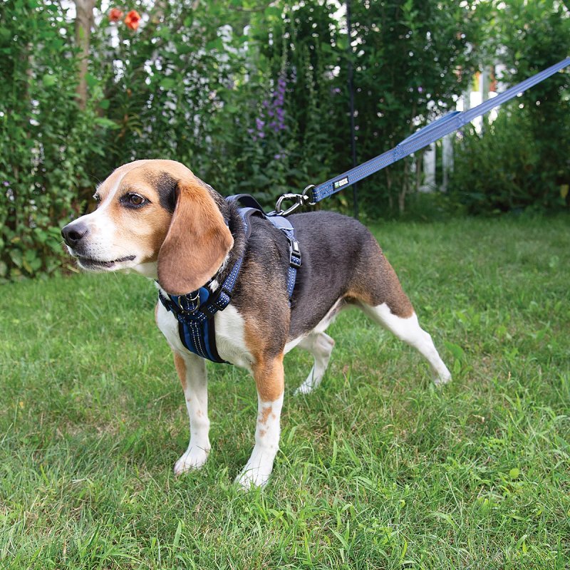 Guardian Gear ZA0031 12 19 Reflective Harness, 16 to 25 in, Fastening Method: O-Ring Strap, Nylon Harness
