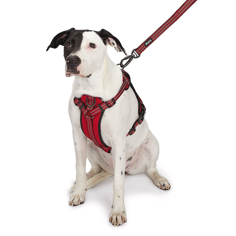 Guardian Gear ZA0031 16 83 Reflective Harness, 18 to 30 in, Fastening Method: O-Ring Strap, Nylon Harness, True Red