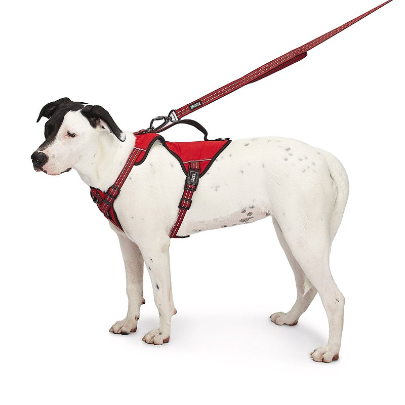 Guardian Gear ZA0031 16 83 Reflective Harness, 18 to 30 in, Fastening Method: O-Ring Strap, Nylon Harness, True Red
