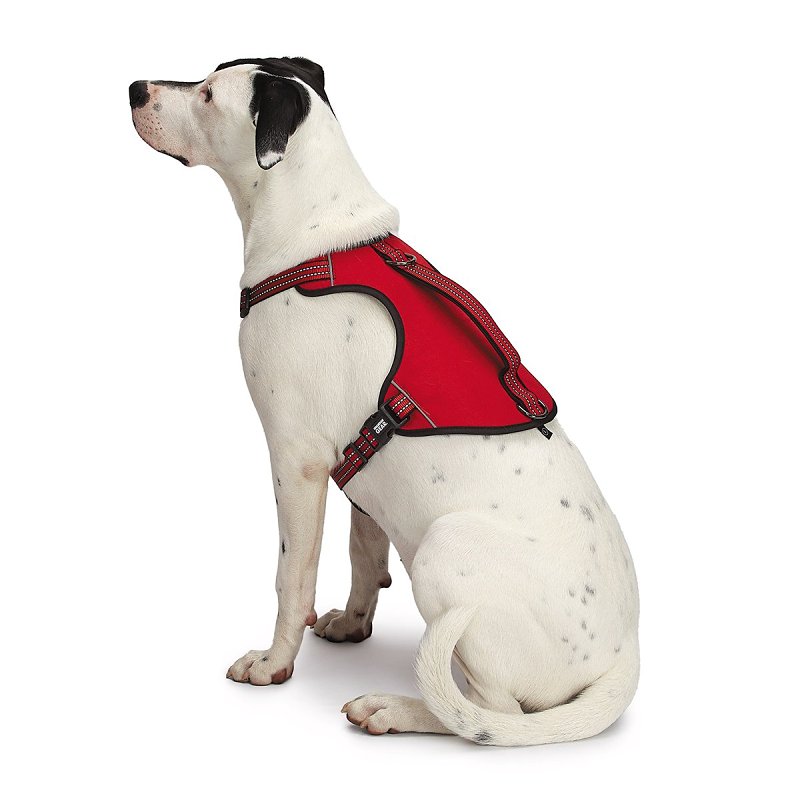 Guardian Gear ZA0031 20 83 Reflective Harness, 24 to 35 in, Fastening Method: O-Ring Strap, Nylon Harness, True Red