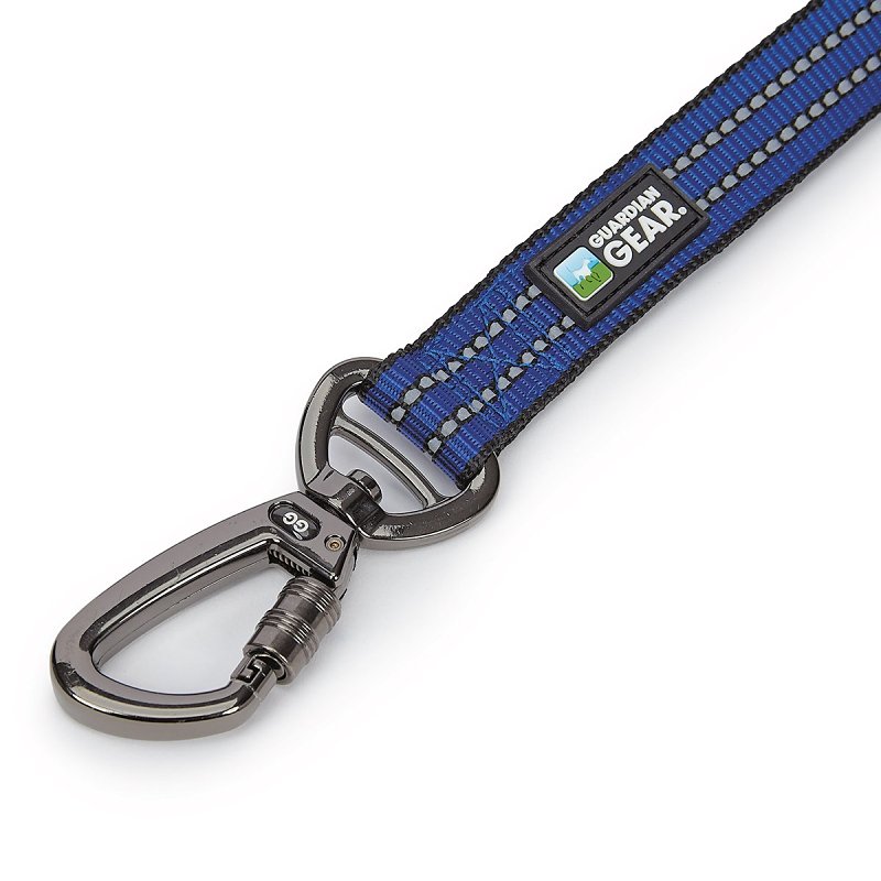 Guardian Gear ZA5172 06 19 Reflective Dog Leash, 6 ft L, Nylon Line, Blue, Fastening Method: Snap