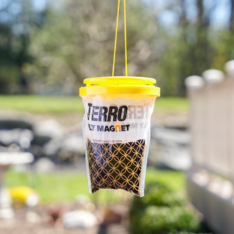 Victor Poison-Free M530 Fly Trap with Bait, Solid, 6