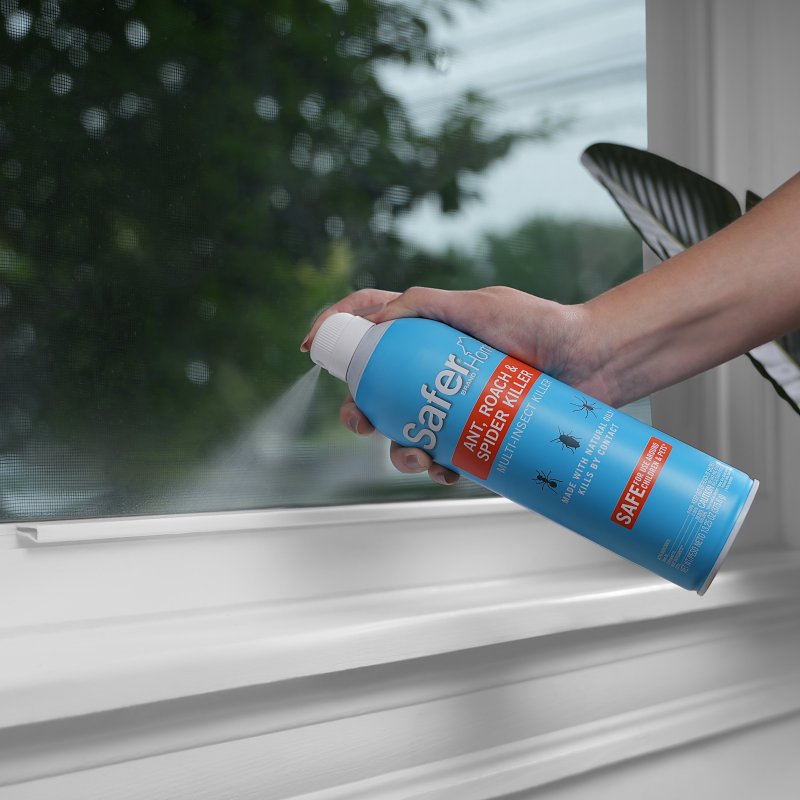 Safer SH111 Insect Killer, Liquid, Spray Application, 13 oz