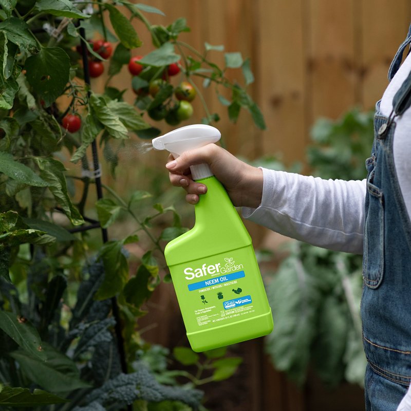 Safer SG5180 Garden Neem Oil Spray, Liquid, Spray Application, 24 fl-oz Bottle