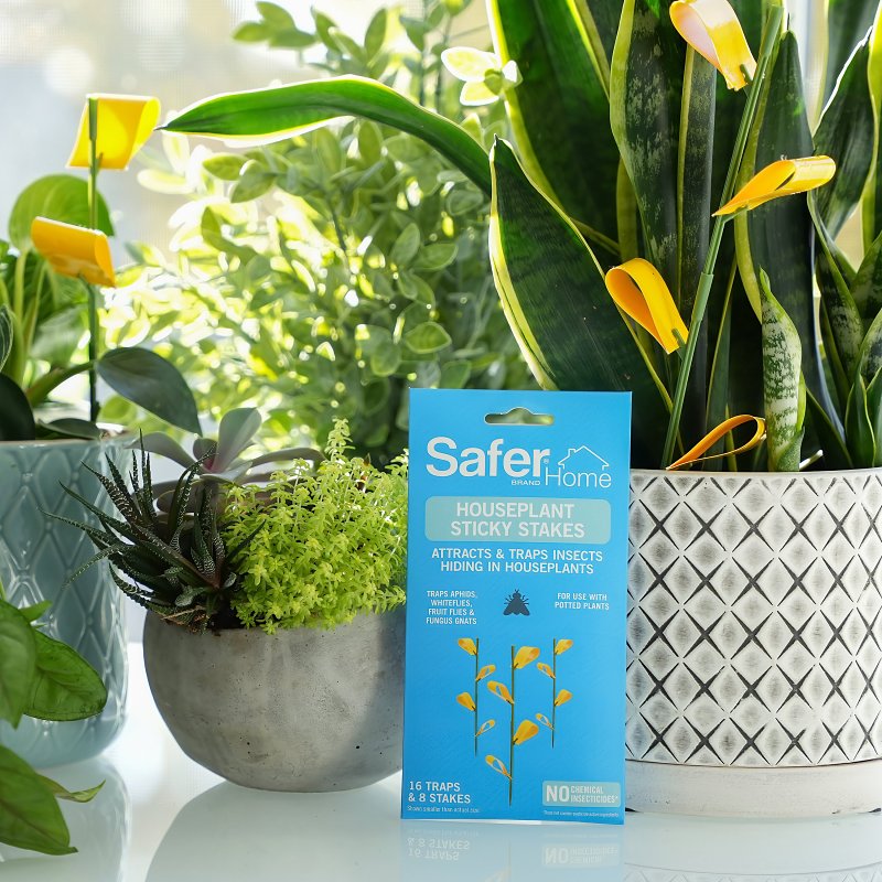 Safer SH5026 Houseplant Sticky Stake, Solid