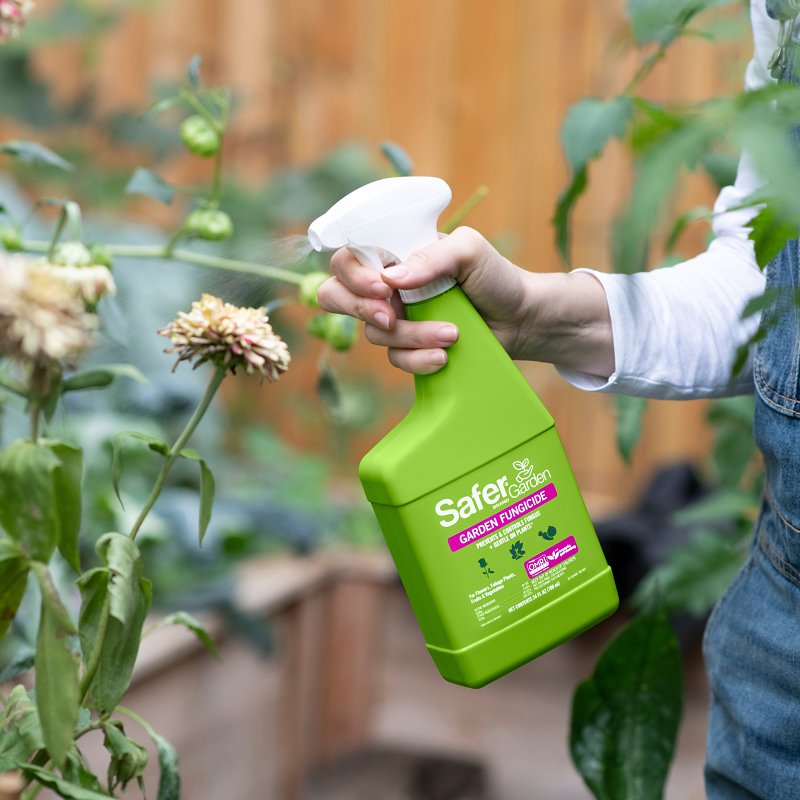 Safer SG5450 Garden Fungicide Spray, Liquid, Slight Sulfur, Brownish Yellow, 24 fl-oz Bottle