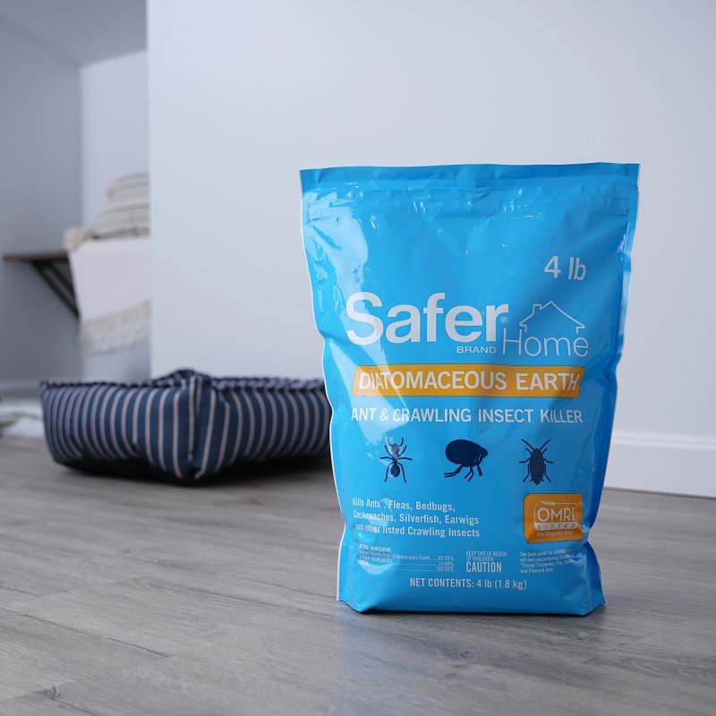 Safer 51703 Diatomaceous Earth, Powder, 4 lb