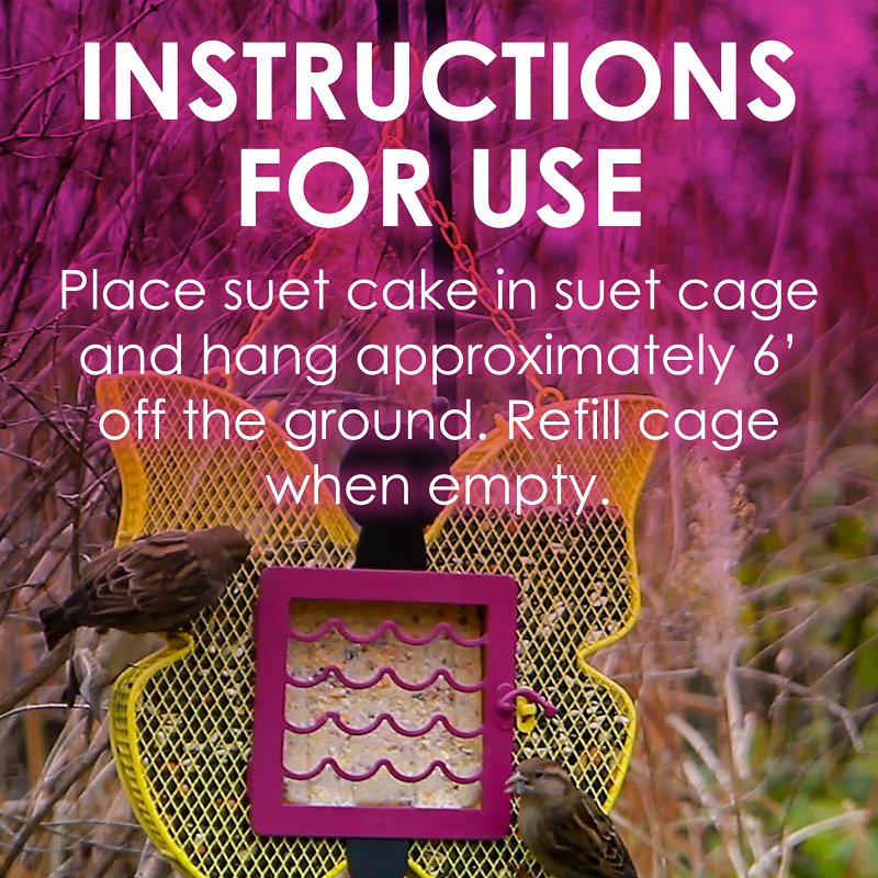 Heath DD-15 Suet Cake, All-Season, Berry, 11.25 oz