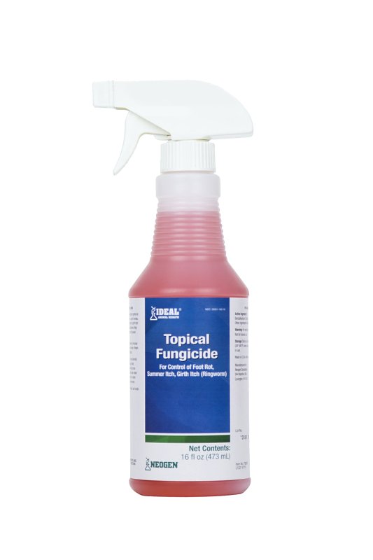 Neogen 79209 Topical Fungicide, 16 oz, Bottle