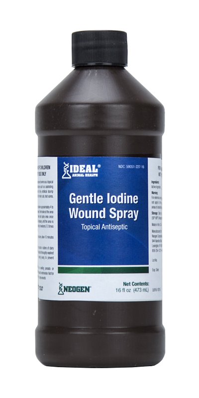 Neogen 79214 Gentle Iodine Wound, Liquid, Dark Brown, Pungent, Slightly Metallic, Sulfur, 16 oz