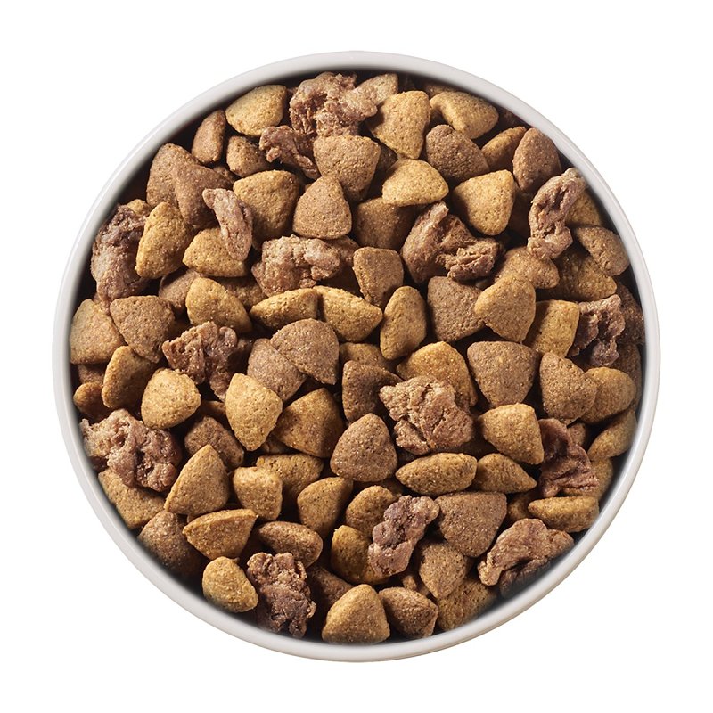Purina SmartBlend 57312 Dog Food, Dry, Lamb, Rice Flavor, 8 lb