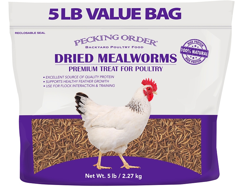 MEALWORMS DRIED 5LB