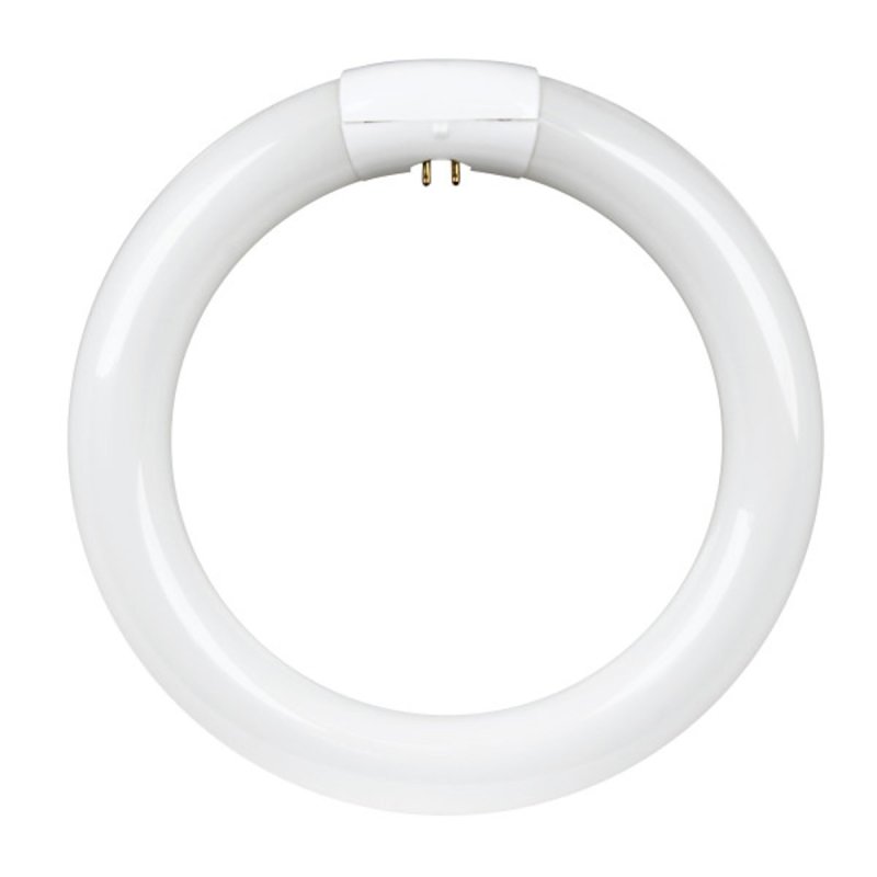 Feit Electric FC8T9/CW Fluorescent Bulb, 22 W, T9 Lamp, G10Q Lamp Base, 4100 K Color Temp, Cool White Light