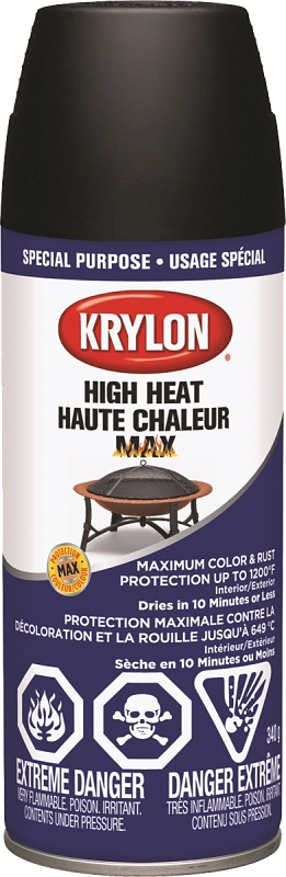 Krylon 41607 Spray Paint, 12 oz Can, 20 sq-ft Coverage Area, Black