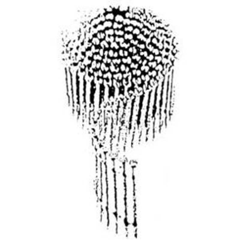 Duchesne 80093201769 Nail, 2-1/2 in L, Bright, Spiral Shank