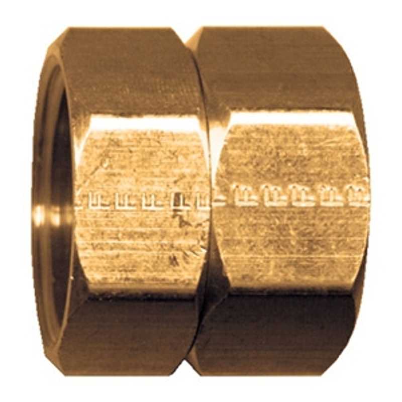 Fairview 199S-E Hose Coupling, 3/4 in, FPT x Female Thread