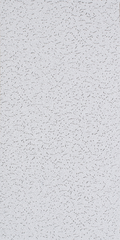 CGC Fifth Avenue 220/821220 All-Purpose Economical Ceiling Panel, 4 ft L x 2 ft W x 5/8 in Thick, Mineral Fiber