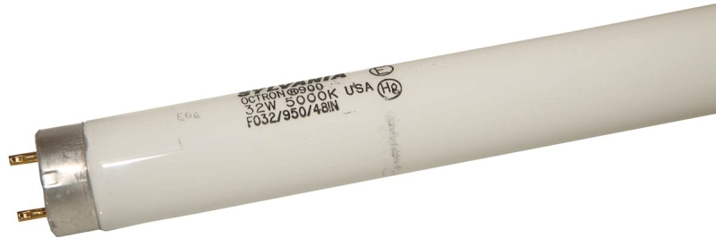 Sylvania 22359 Fluorescent Bulb, 32 W, T8 Lamp, Medium G13 Lamp Base, 1800 Lumens, 5000 K Color Temp, Daylight Light