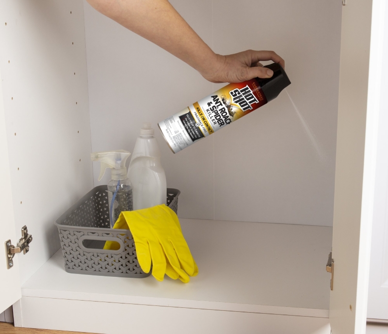 Hot Shot HG-96780 Ant, Liquid, Spray Application, Indoor, Outdoor, 17.5 oz, Aerosol