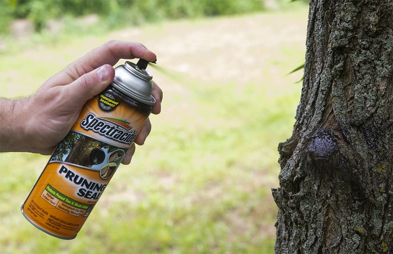 Spectracide HG-69000 Pruning Sealer, Liquid, Asphalt, Black, 13 oz Can