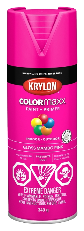 Krylon 455280007 Enamel Spray Paint, 12 oz Can, 25 sq-ft Coverage Area, Acrylic Base, Gloss, Mambo Pink