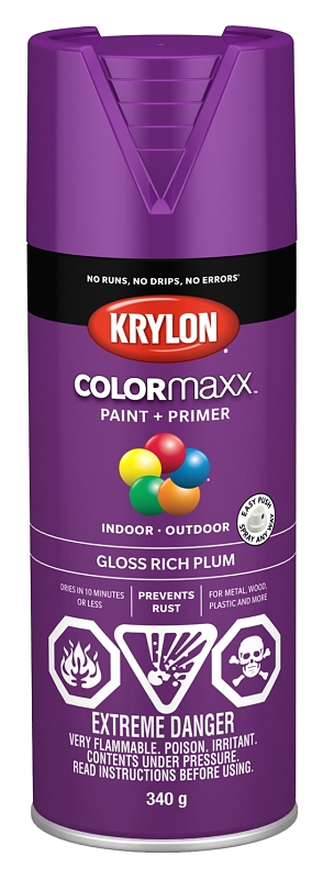 Krylon 455360007 Enamel Spray Paint, 12 oz Can, 25 sq-ft Coverage Area, Acrylic Base, Gloss, Rich Plum