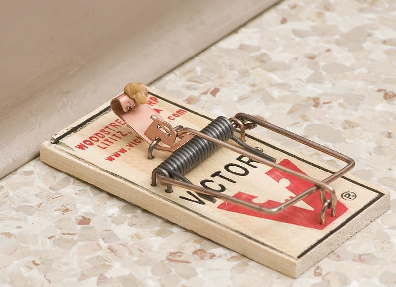 Victor M040 Mouse Trap, Reusable, Wood