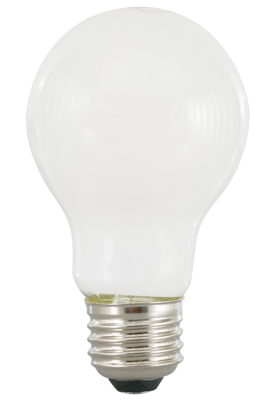 BULB LED A19 FRST DAYLIGHT 11W
