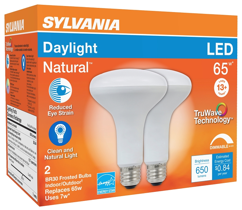 BULB LED BR30 FLOOD DAYLT 7W