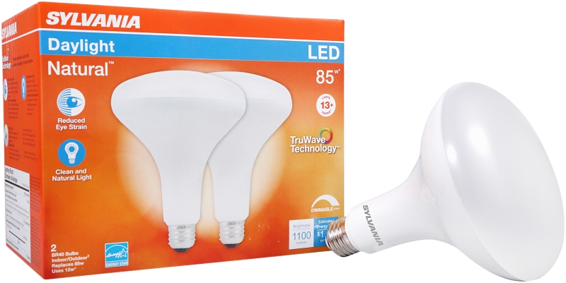 BULB LED BR40 FLOOD DAYLT 12W