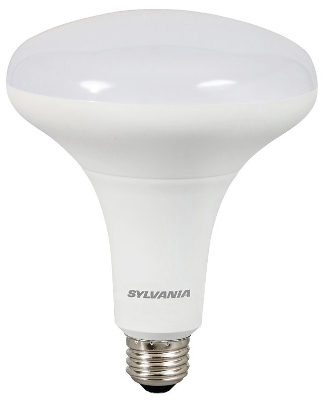 BULB LED BR40 FLOOD DAYLT 12W